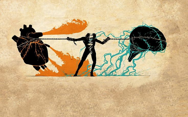 Emotion vs Logic: How Decisions Are Actually Made (Psychology Explained)